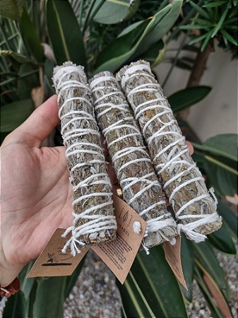 Bastão de SÁLVIA BRANCA- Limpeza, Purificação