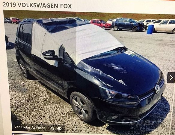 Fox 2019