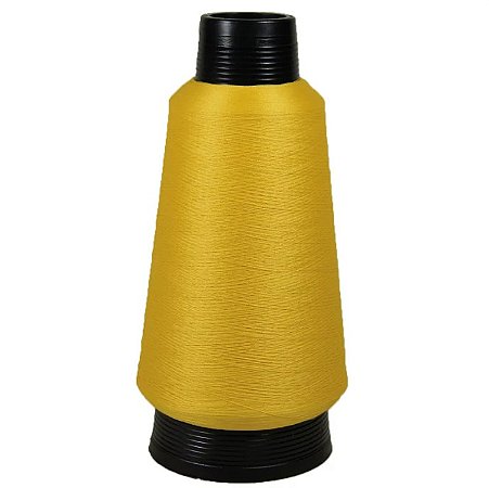 Fio 100% poliéster cor 110 c/100 gramas Wlamar