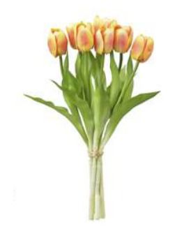 Tulipa Ramalhete C/ Fita Toque Real X7 (AMARELO 2T)