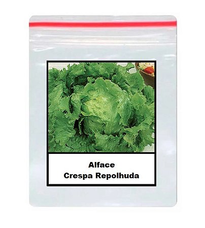 Alface crespa repolhuda 1.000 Sementes