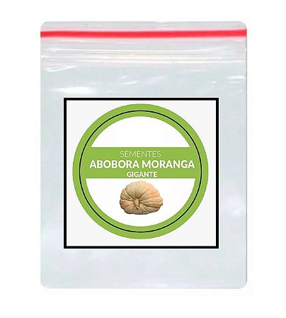 Sementes de  Abobora Moranga Gigante 100 unidades