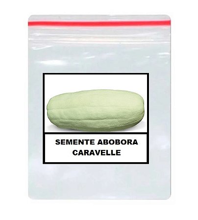 Sementes de Abóbora Caravelle 100 unidades