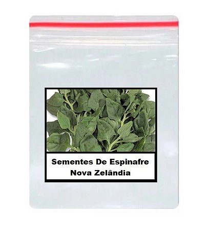 Sementes De Espinafre Nova Zelândia 100 unidades