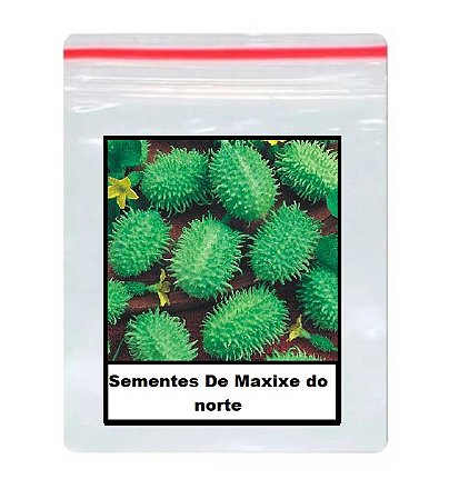 Sementes De Maxixe do norte 100 unidades