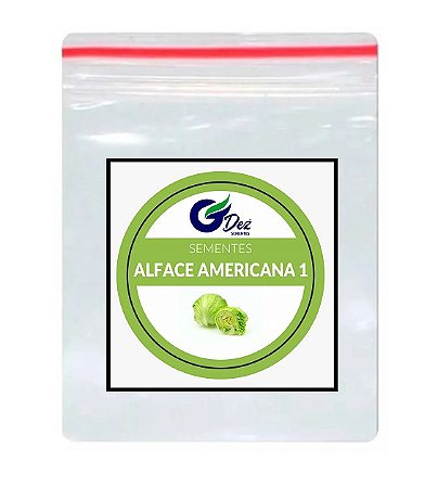 Alface Americana 1000 Sementes