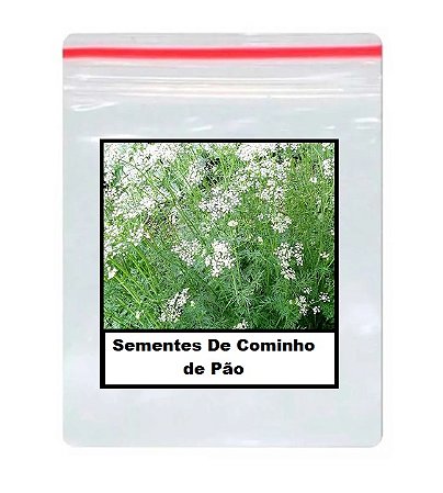 300 Sementes De Cominho de Pão