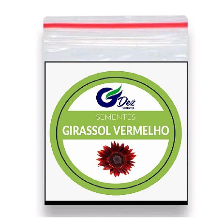 40 Sementes Girassol Vermelho