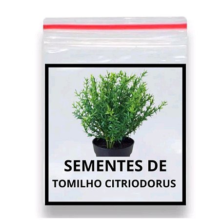 400 Sementes De Tomilho