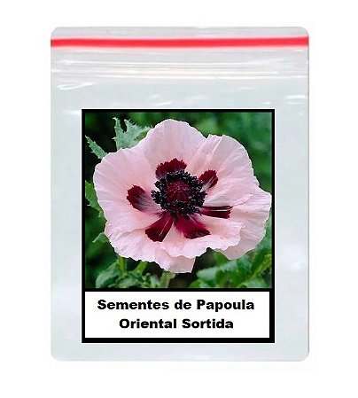 50 Sementes de Papoula Oriental Sortida