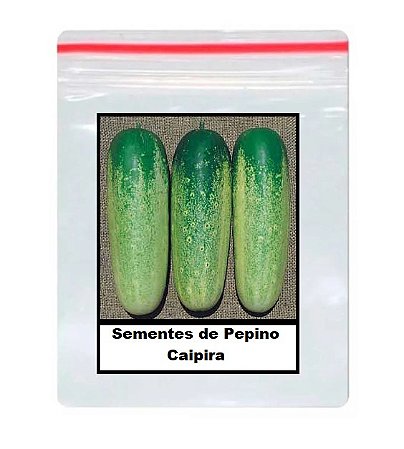 50 Sementes de Pepino Caipira
