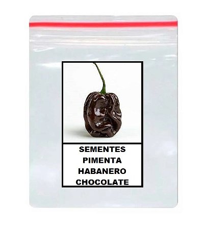 50 Sementes De Pimenta Habanero Chocolate