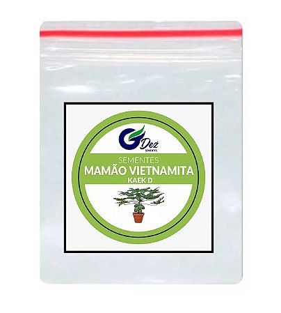 50 Sementes Mamão Anão Do Amazonas Papaya Mudas