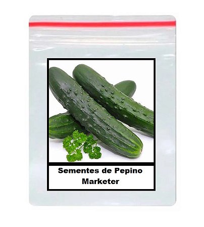 70 Sementes de Pepino Marketer