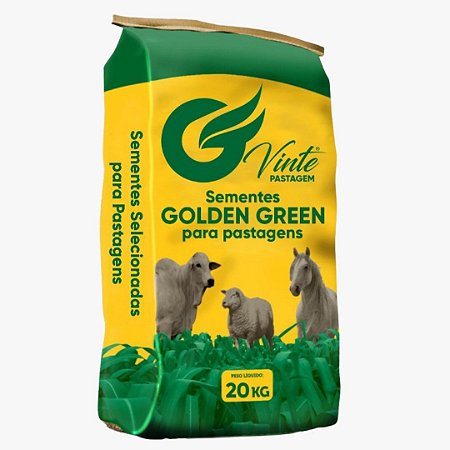 Capim Tanzania / Panicum Maximum - 10 kg De Sementes