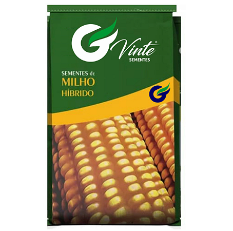 2 Kg Semente De Milho Híbrido Dupla Aptidão Silagem E Grãos
