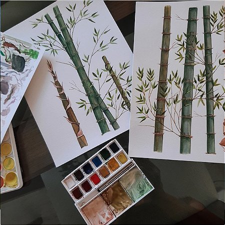 240 melhor ideia de aquarela simples  aquarela simples, aquarela, arte em  aquarela