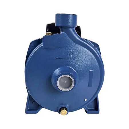 Motobomba Eletroplas Centrifuga Standard MCSE-100B 1CV Bivolt