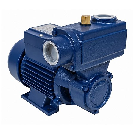 Motobomba Eletroplas ICA-100AB Auto-Aspirante 1HP Bivolt