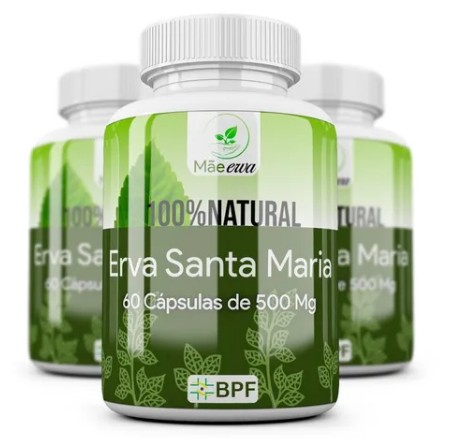 Erva De Santa Maria Mastruz 60 Cápsulas 500mg