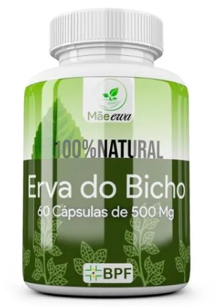 Erva De Bicho Pura 1 Pote Com 60 Cápsulas 500mg 100% Natural