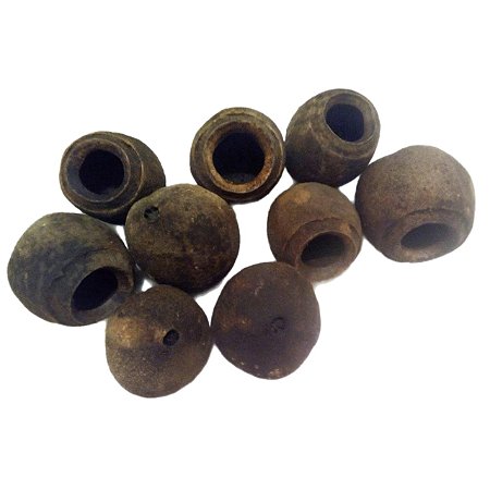 Kit 5 Cabaças de Sapucaia Natural – Ideal para Aquarismo, Artesanato e Decoração