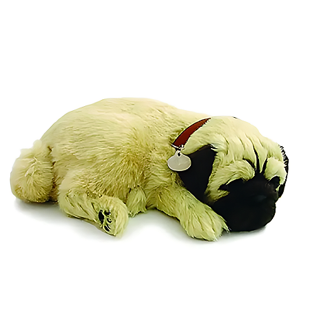 Cachorro de pelúcia que Respira - Pug - Perfect Petzz