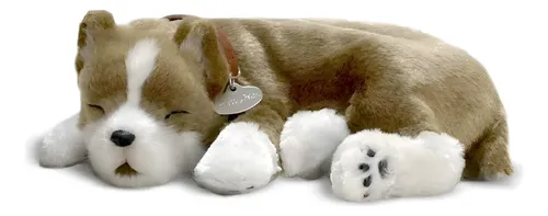 Pit Bull Cachorro De Pelúcia Que Respira Perfect Petzzz