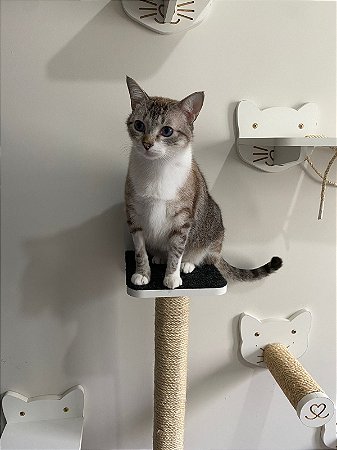 Elegance MDF Branco Arranhador 100 cm