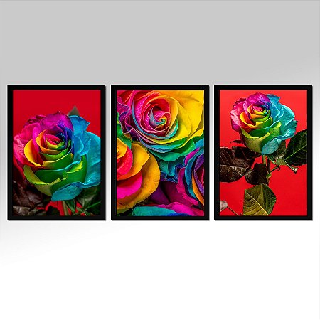 Kit 03 Quadros Decorativos - Rosas Coloridas