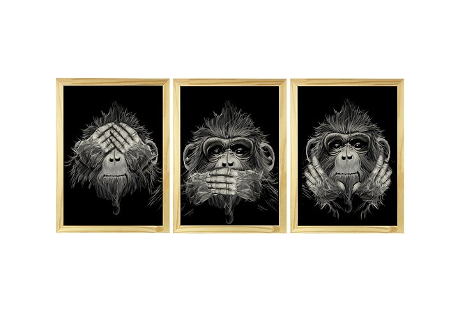 Conjunto Kit 03 Quadros - Trio Macacos