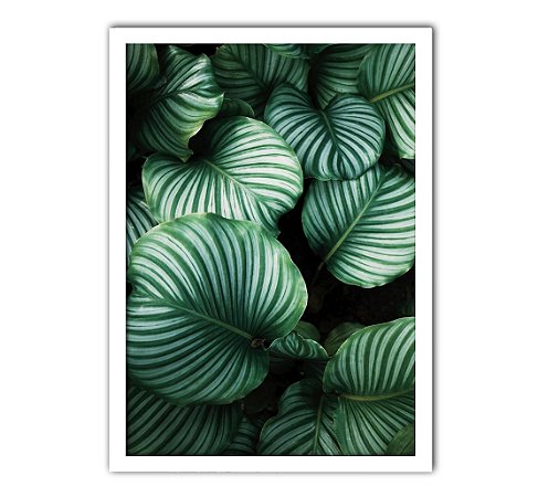 Quadro Decorativo Folhas Nature