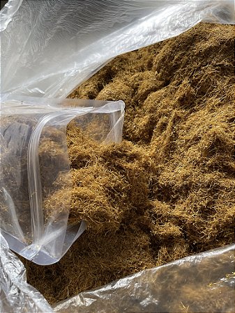 Tabaco Destalado Extra suave Virgínia Gold 1 kg