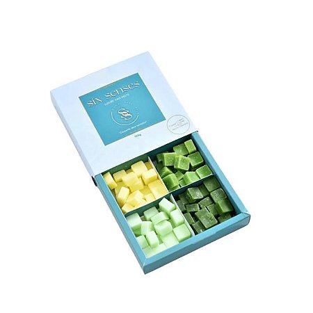 PASTILHAS AROMATICAS BLEND CITRIC 150G - TROPICAL, CAPIM LIMAO, ALECRIM, BAMBOO