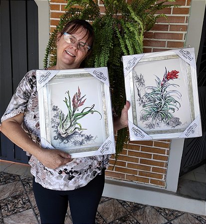 Bromélias com moldura (2 QUADROS)