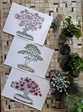 COLEÇÃO BONSAIS (3 prints)