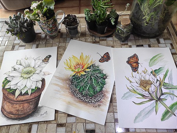 COLEÇÃO FLOR DE CACTUS E BORBOLETA (3 prints)