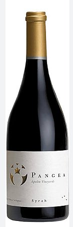 Vinho Chileno Ventisqueiro Pangea Syrah