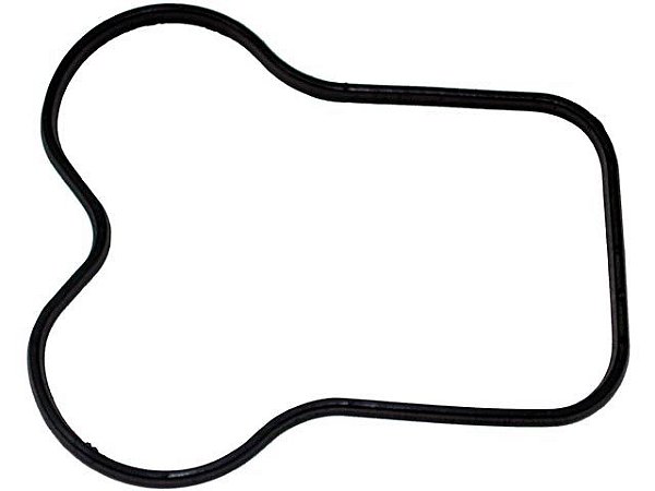 Junta Tampa Válvulas Borracha Fina --MOTOR MWM TD229/4/6 VW 7110S,12140/H,141 - Ford - 922908530444