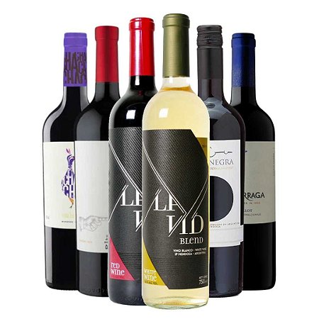 Box com 6 Vinhos Variados da Argentina e Chile