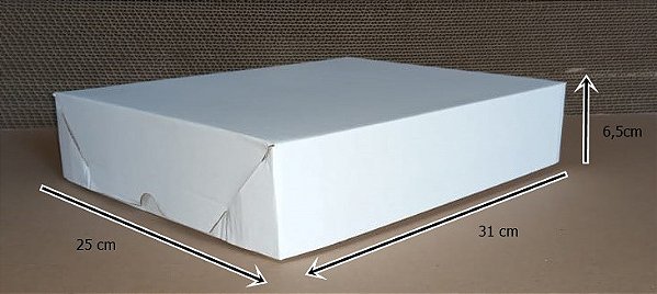 ESFIHA/SALTENHA	- 310X250X65	- BRANCO - FARDO 10 UNID