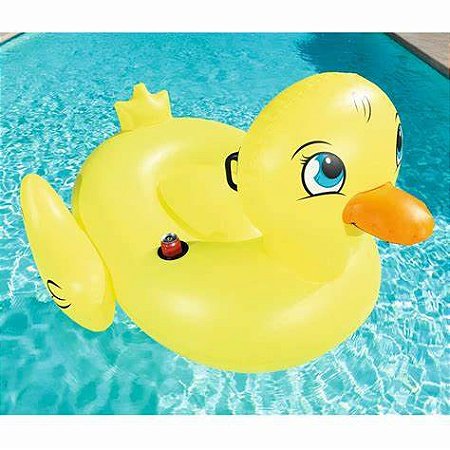 BOIA PATO MÉDIO 45kg