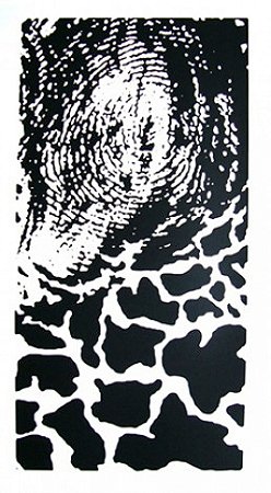 Elaine Gomes - 96 x 66 cm