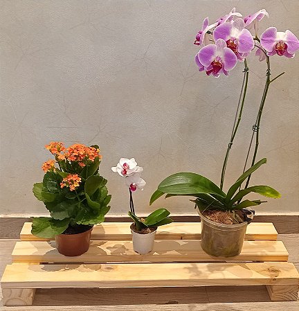 Suporte Jardineira de Madeira para Vaso 70 x 26cm