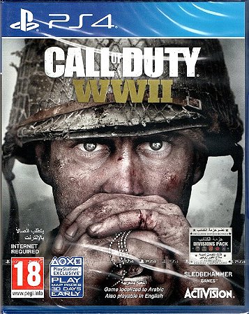 Call Of Duty WW2 (Inglês) - PS4 (Mídia Física) - USADO