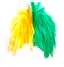 Peruca verde e amarela (01 un)