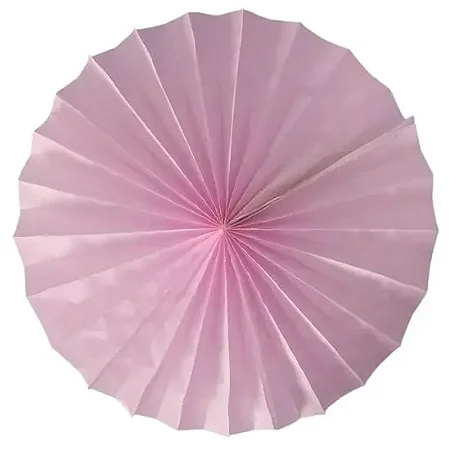 Margarida Fiorata Rosa Claro (1 und)