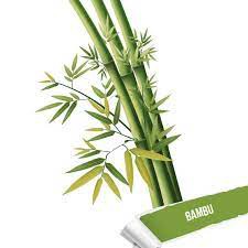 ESSENCIA BAMBU 50ML