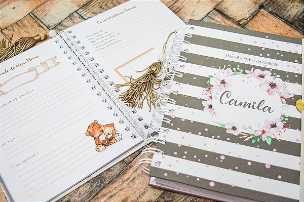 Manual e Diário da Gestante