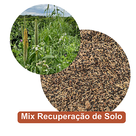 MIX DE RECUPERAÇÃO DE SOLO